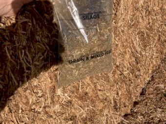 Vetch Hay 2021 Season