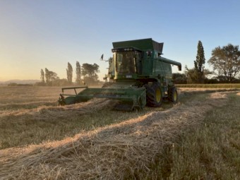 WANTED Peg Drum suit 9600-9660WTS