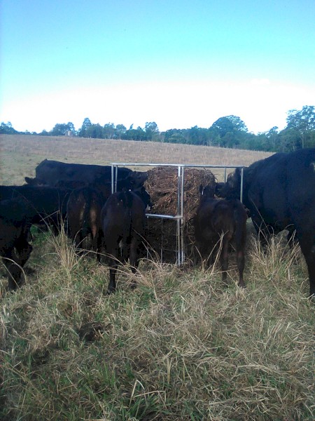 Soybean Silage Bales 19.3% protein