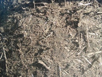 Soybean Silage Bales 19.3% protein