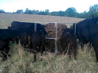 Soybean Silage Bales 19.3% protein