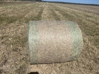 Rhodes Grass 4*4 Suit  Cows, Cattle, Goats, Sheep