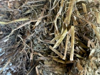 2022 Vetch Hay (500) bales