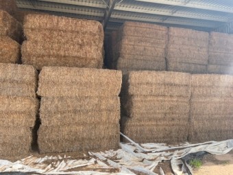 2022 Vetch Hay (500) bales | Farm Tender