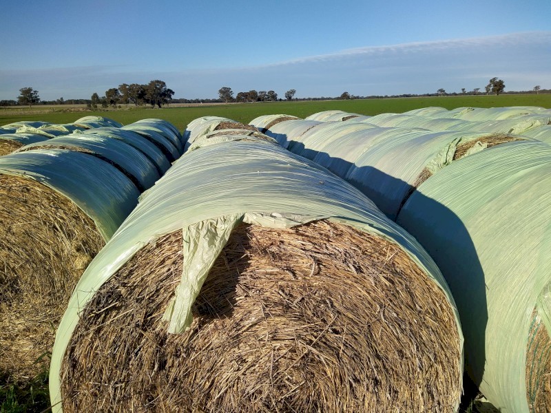 *PRICE REDUCED* Wheaten and Oaten Hay Rolls 2021 season outsides wrapped 