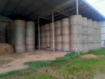 Shaftal & Rye Shedded Echuca