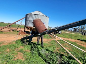 2 x Grain Augers