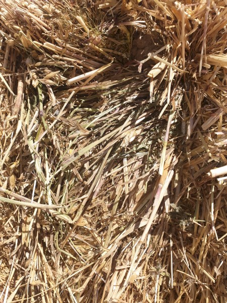 Oaten /Ryegrass Hay