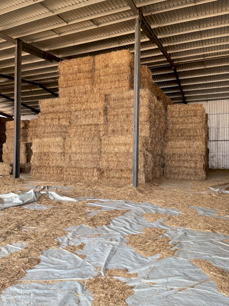 100mt Oaten Hay 8x4x3 Bales