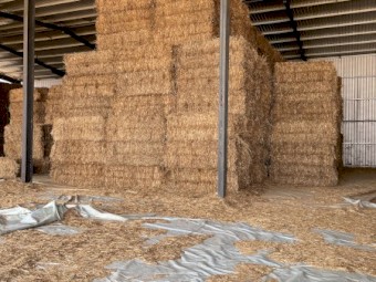 100mt Oaten Hay 8x4x3 Bales