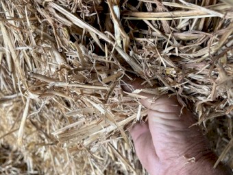 100mt Oaten Hay 8x4x3 Bales