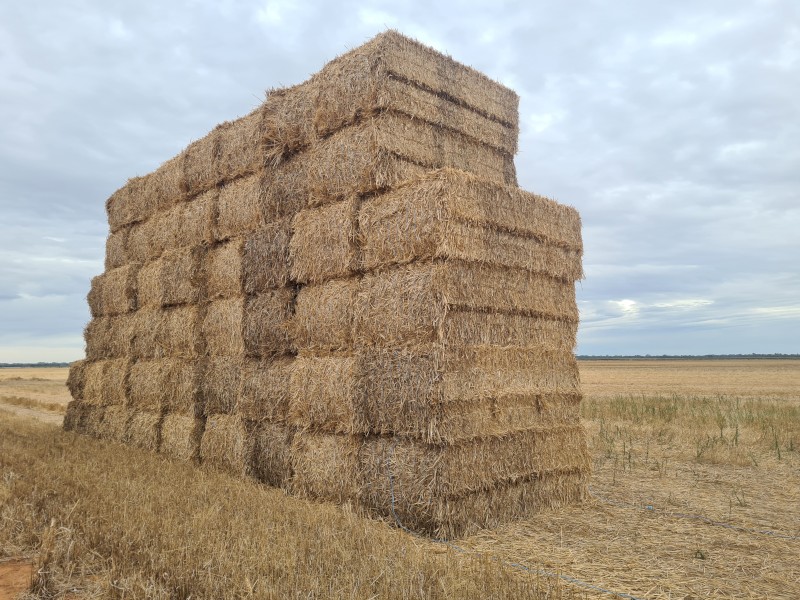 Long Cut wheat straw Farm Tender