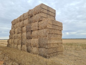Long Cut wheat straw