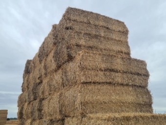 Long Cut wheat straw