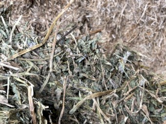 40mt Vetch Hay 8x4x3 Bales