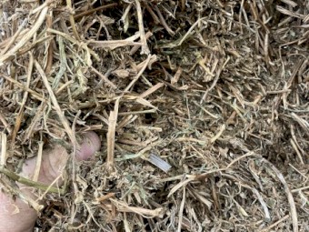 100mt Vetch Hay 8x4x3 Bales