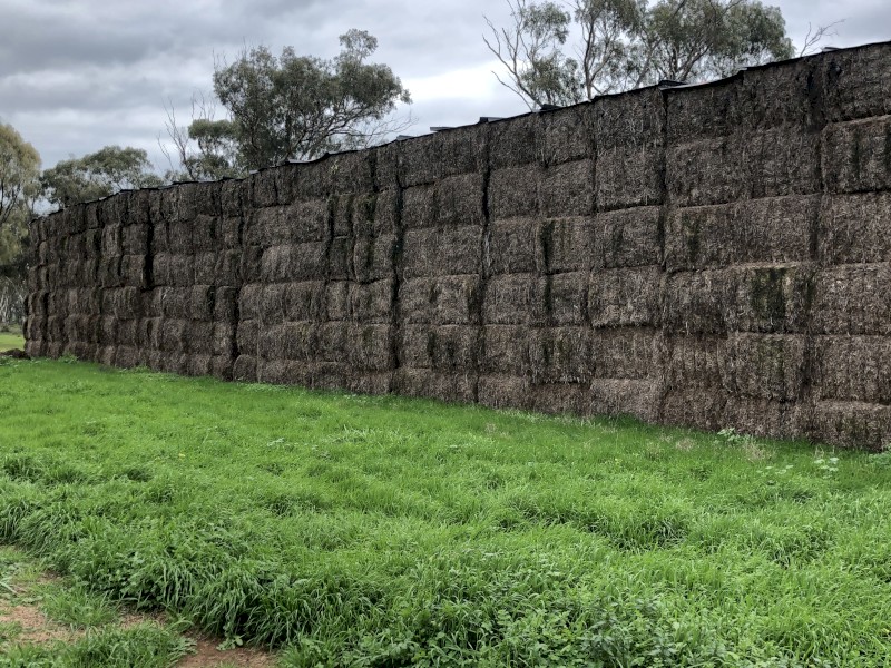 100mt Vetch Hay 8x4x3 Bales