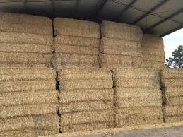 Wheaten Straw For Sale 