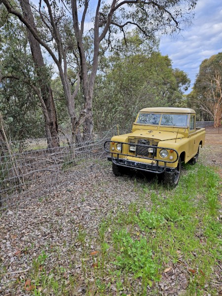Vintage Landrover 