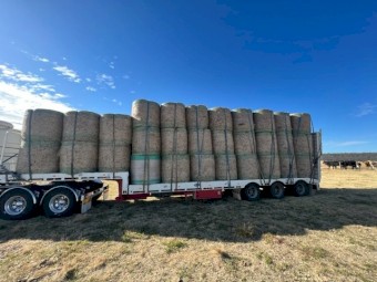 4*4 Rhodes Grass Hay