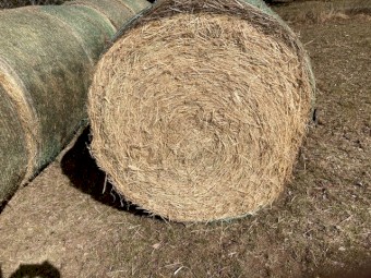 4*4 Rhodes Grass Hay