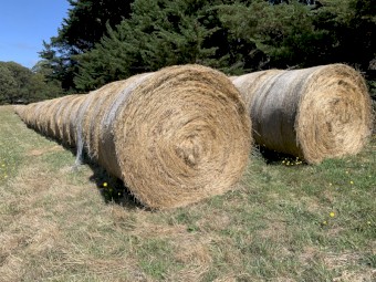 5' x 4' Round bales January 2023 cut