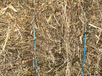 2022 Medic Clover Hay