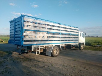 2004 Mitsubishi Fuso Truck and 2 x 1 Stock Crate