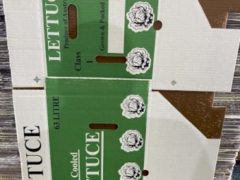 Lettuce cartons 