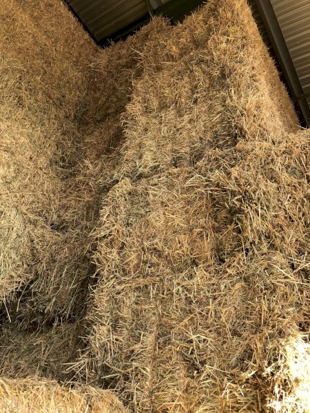 Oaten Straw 8x4x3 Bales