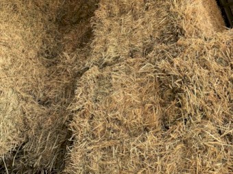 Oaten Straw 8x4x3 Bales