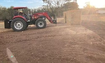 Quality Lucerne Hay 8x4x3 Bales 