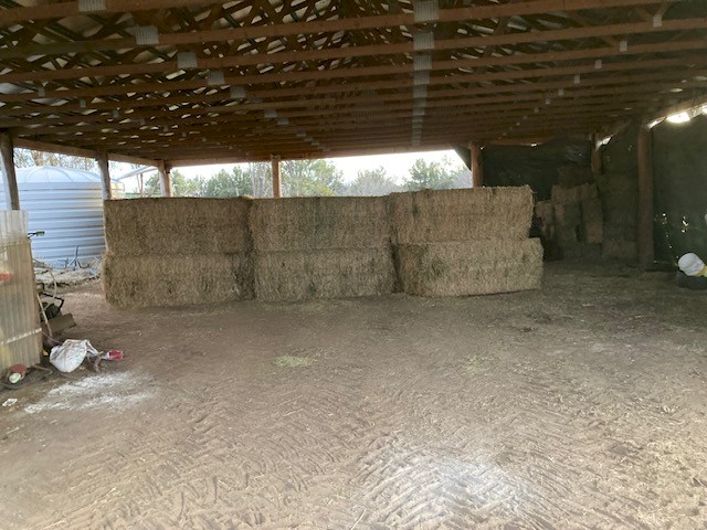 Horse Quality Legume (Cavalcade) Hay 8x4x3 Large heavy bales