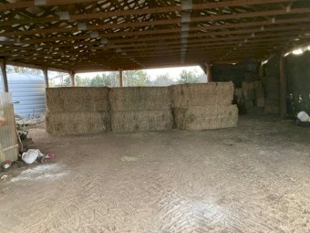 Horse Quality Legume (Cavalcade) Hay 8x4x3 Large heavy bales