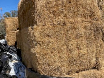 Horse Quality Clover Hay 8x4x3