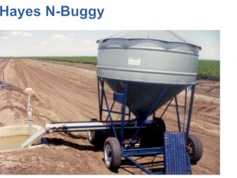 WANTED Hayes N Buggy