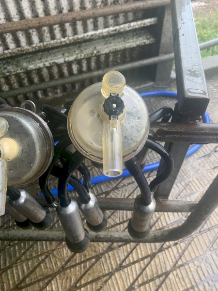 De-Leval milk clusters