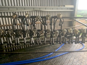 De-Leval milk clusters