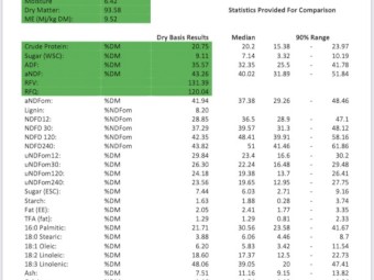Lucerne hay 8x4x3 bales 