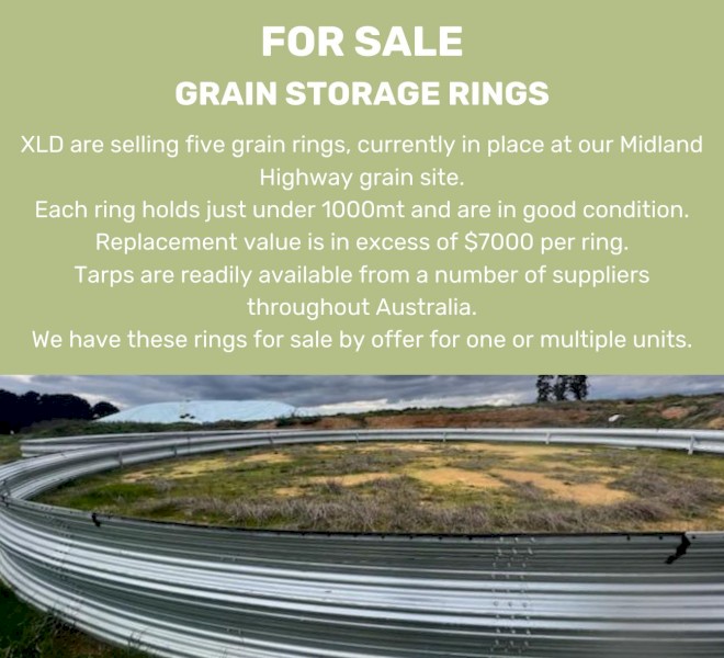 Grain Storage Rings