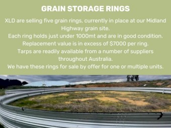 Grain Storage Rings