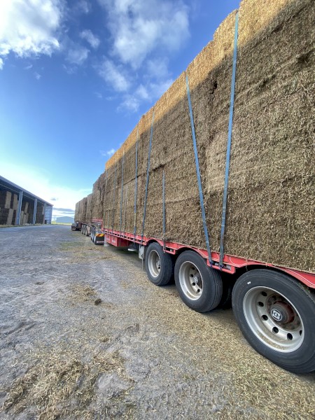 35mt Vetch Hay 8x4x3 Bales (22/23 Season)