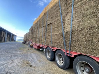 35mt Vetch Hay 8x4x3 Bales (22/23 Season)
