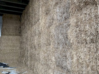 35mt Balansa Clover Hay 8x4x3 Bales