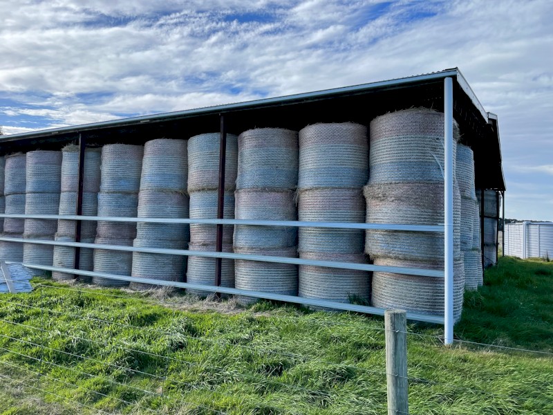 140 x Improved Pasture 5x4 Round Bales