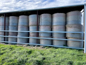 140 x Improved Pasture 5x4 Round Bales