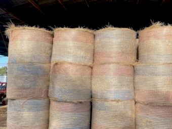 140 x Improved Pasture 5x4 Round Bales