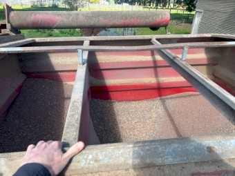 Bromar 50 Bag Split bin Feeder With Scales