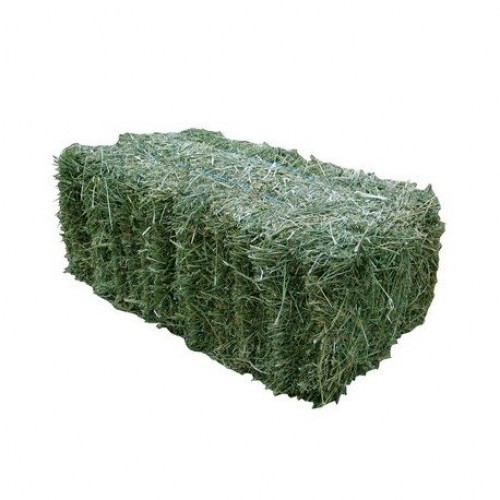 WANTED Lucerne Hay 8x4x3 Bales x 50