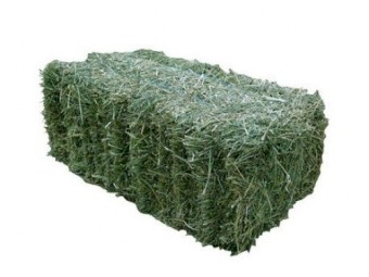 WANTED Lucerne Hay 8x4x3 Bales x 50